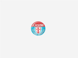 Casini logo UDC